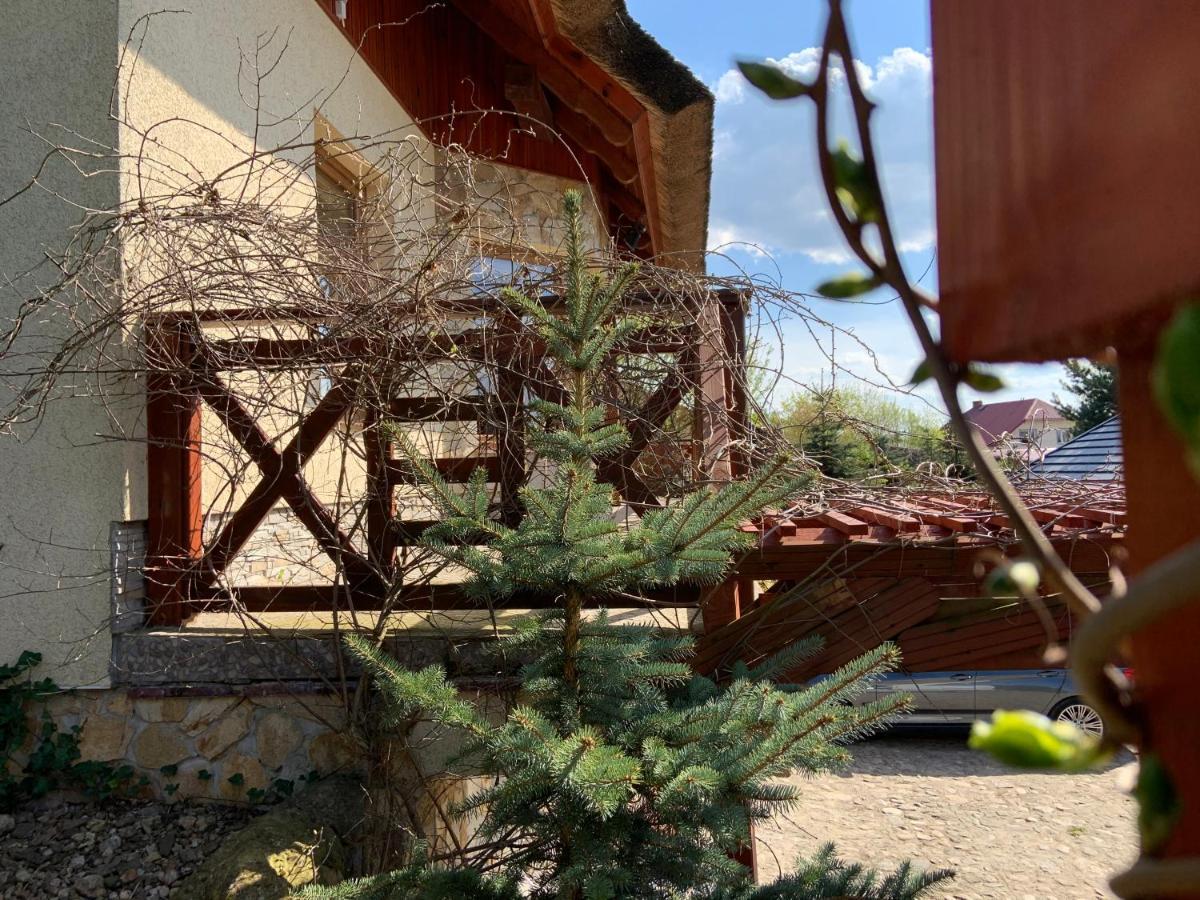 Zakatek Rabowka Dom Ryby Bania Villa Exterior foto